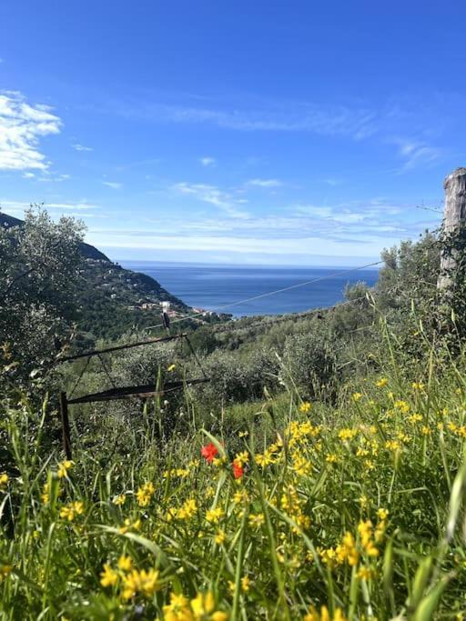 Olivetta House Holiday Moneglia Dış mekan fotoğraf