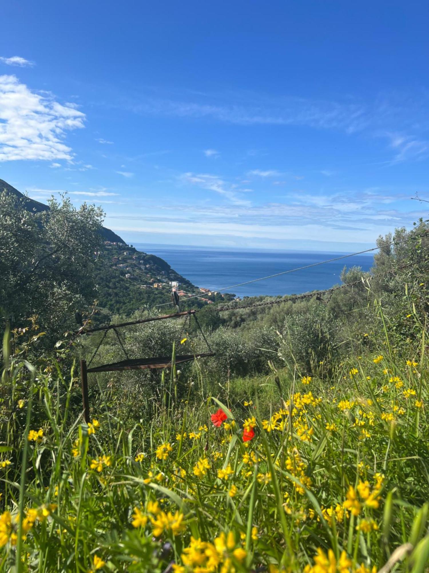 Olivetta House Holiday Moneglia Dış mekan fotoğraf