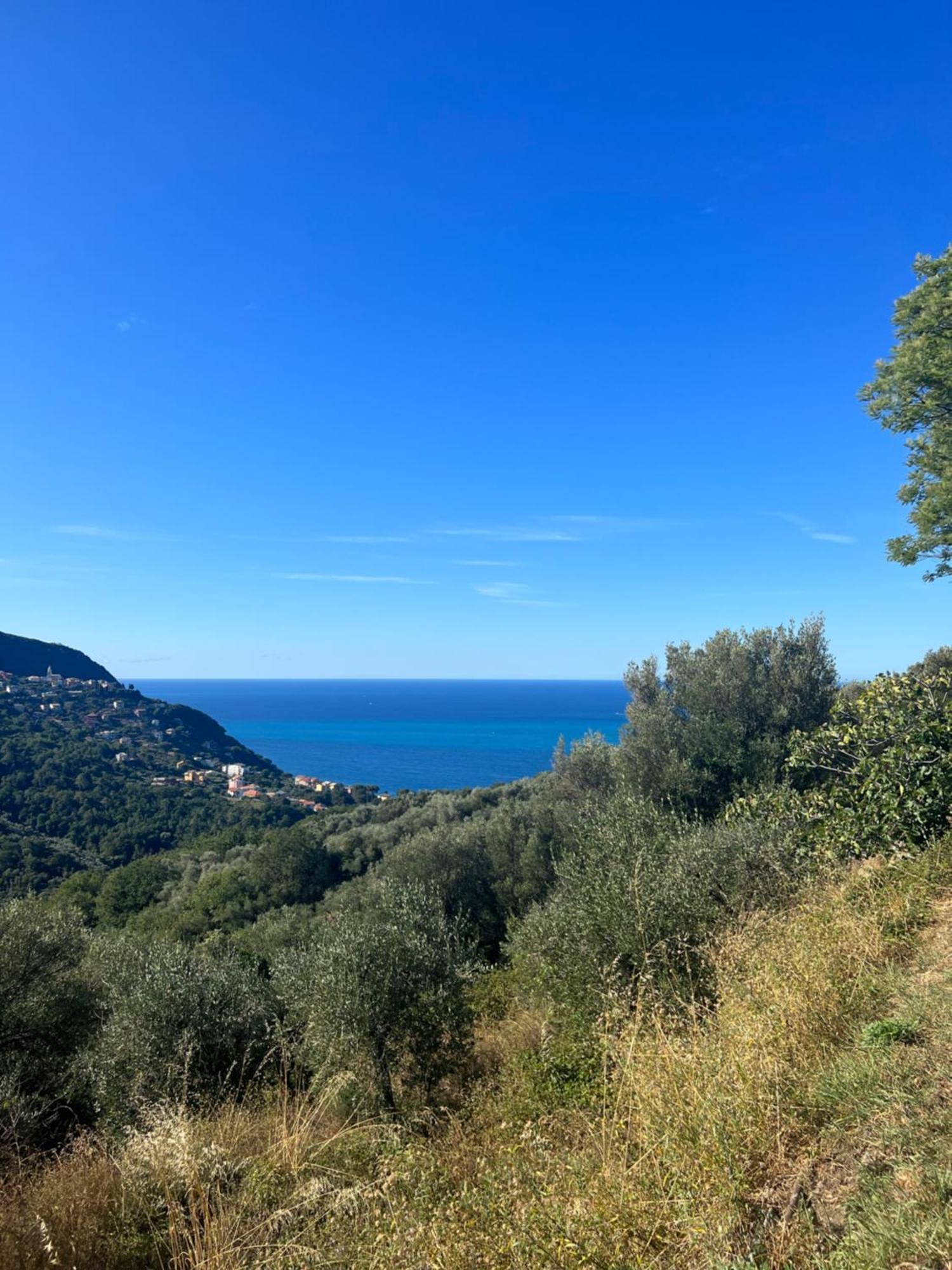Olivetta House Holiday Moneglia Dış mekan fotoğraf